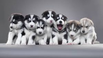 Unique Collaborations Using creativty to enhance connection and cognition